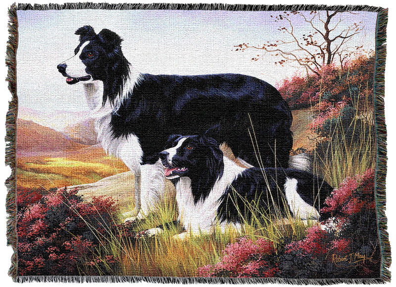 Border Collie Throw