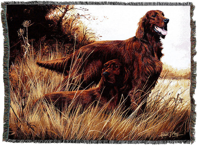 Irish Setter Throw