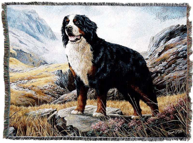 Bernese Mountain Dog Throw